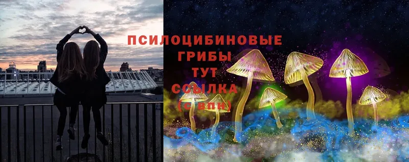 Галлюциногенные грибы Cubensis  Шенкурск 