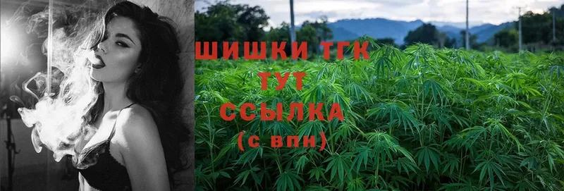 Бошки марихуана Ganja  mega как зайти  Шенкурск 